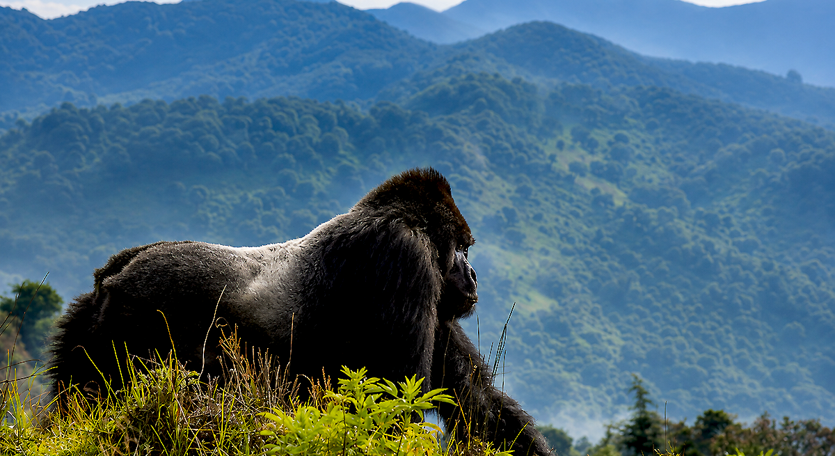 Rwanda