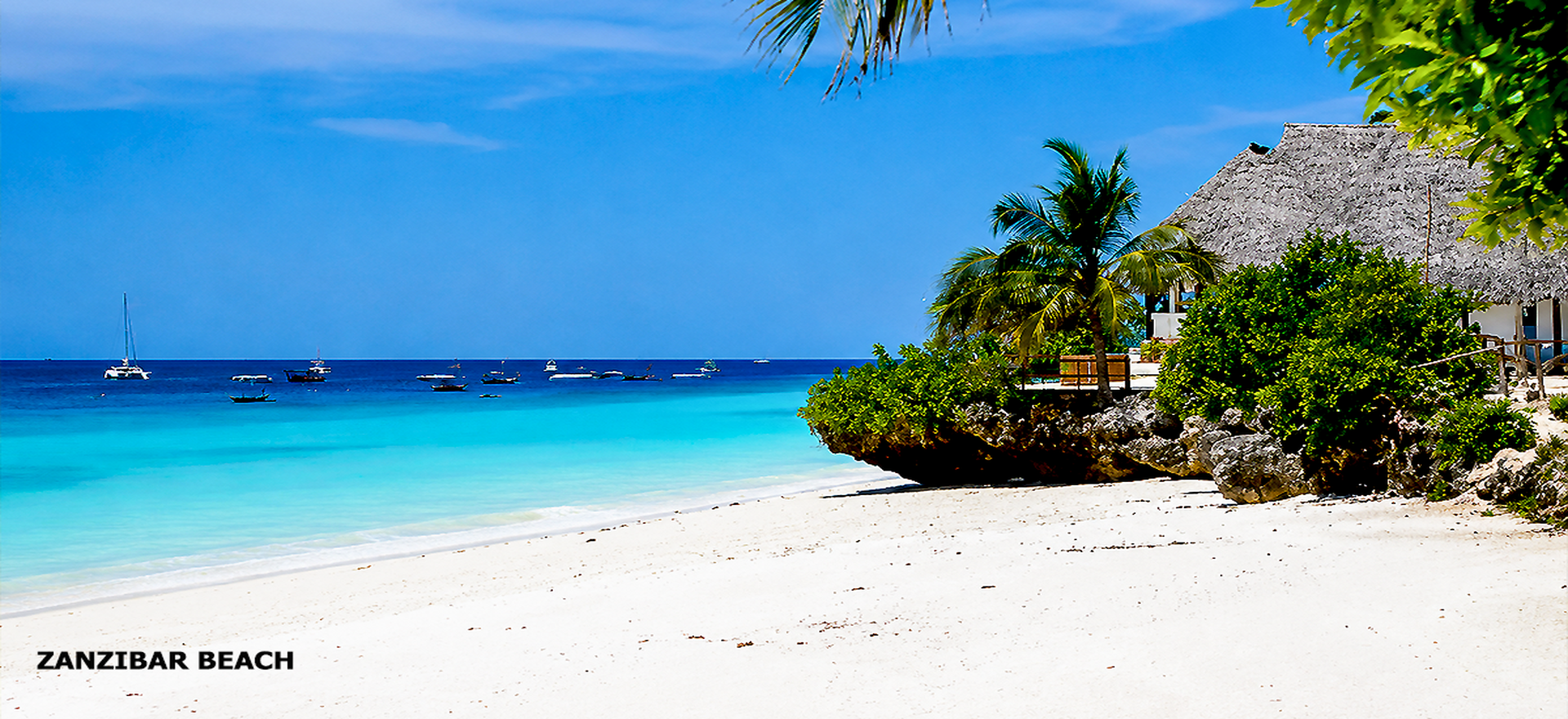 Zanzibar