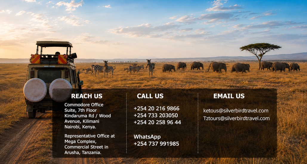 Contact Silverbird Travel Plus — Reach Us, Call Us, Email Us