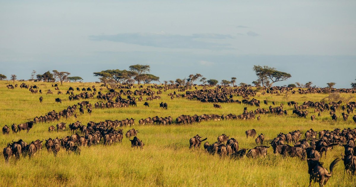 Background Images Rwanda Rwanda | Destinations | Silverbird Travel Plus