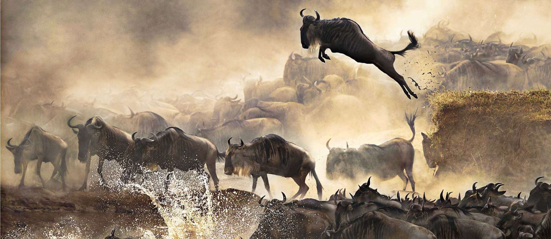 MASAI MARA GREAT MIGRATION SAFARI