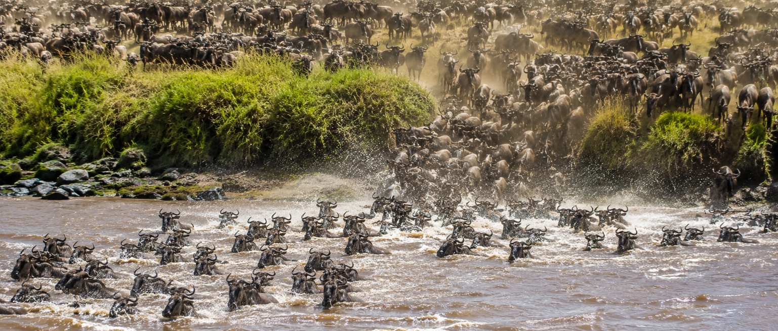 10 Day Masai Mara & Serengeti Great Migration Safari